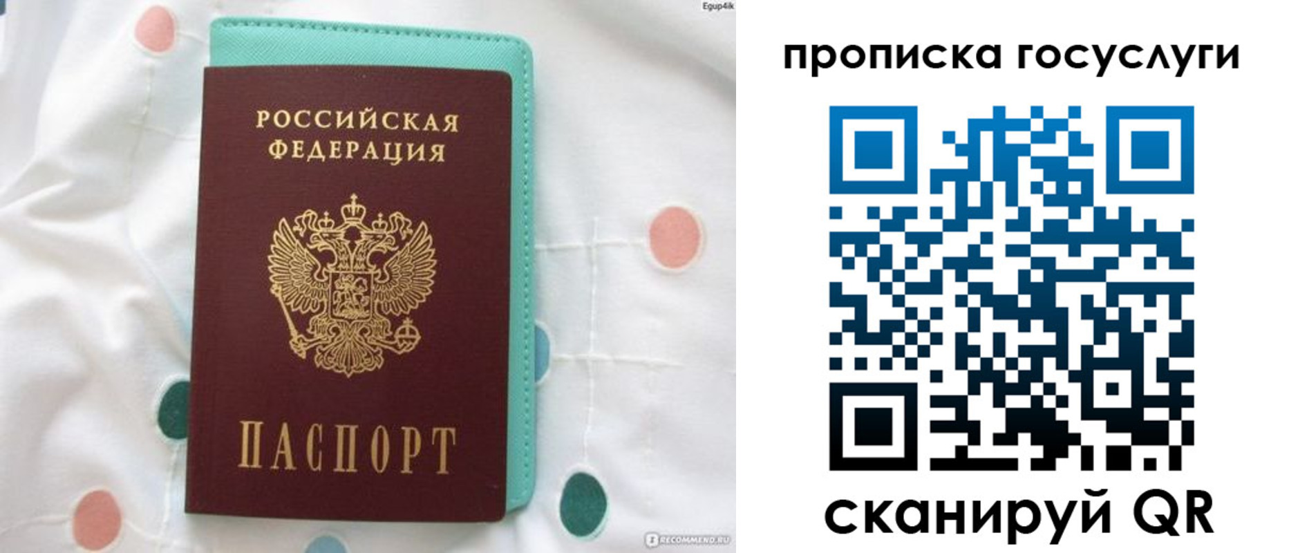 прописка поиск в Ясном